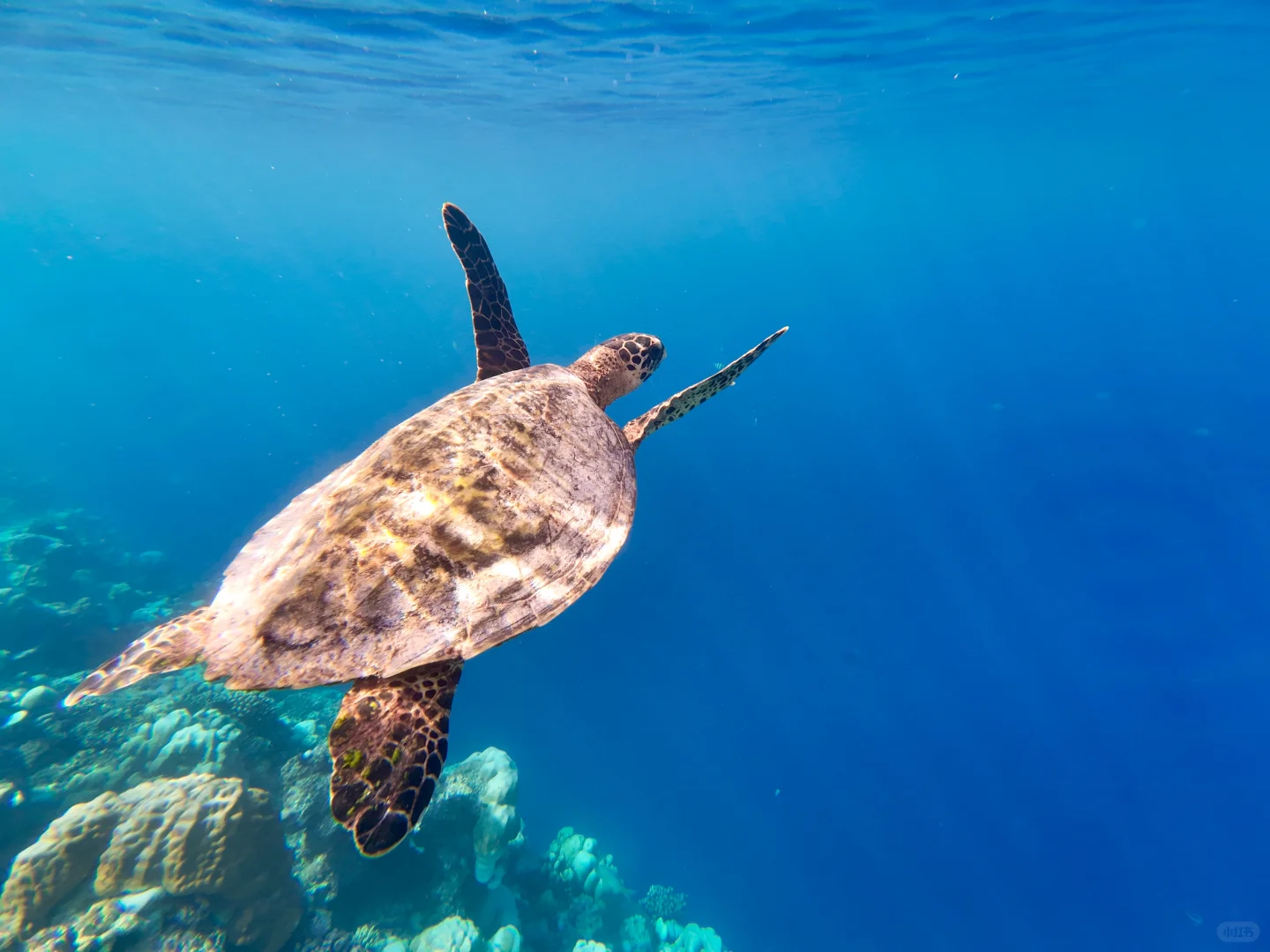 🌏迄今去过的9个东南亚海岛感受和评分