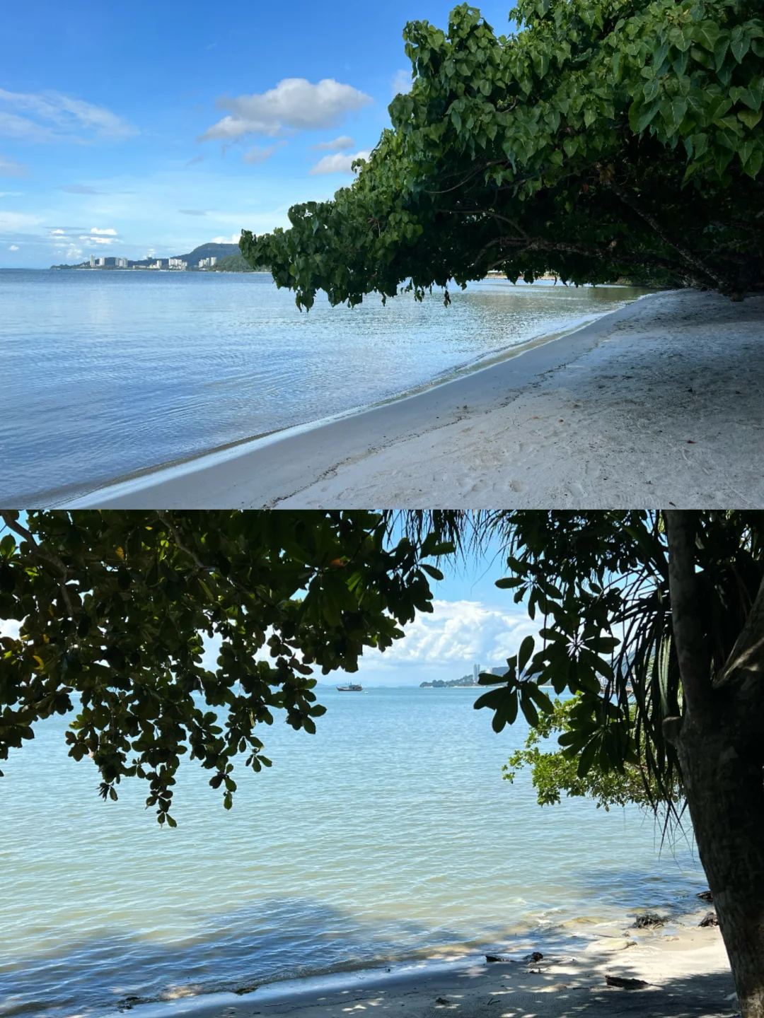 北纬5°徒步穿越热带雨林🐒槟城国家公园