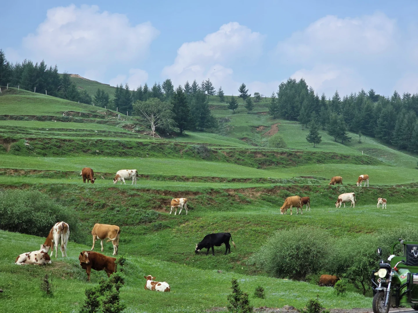 忍不住又来了一次！