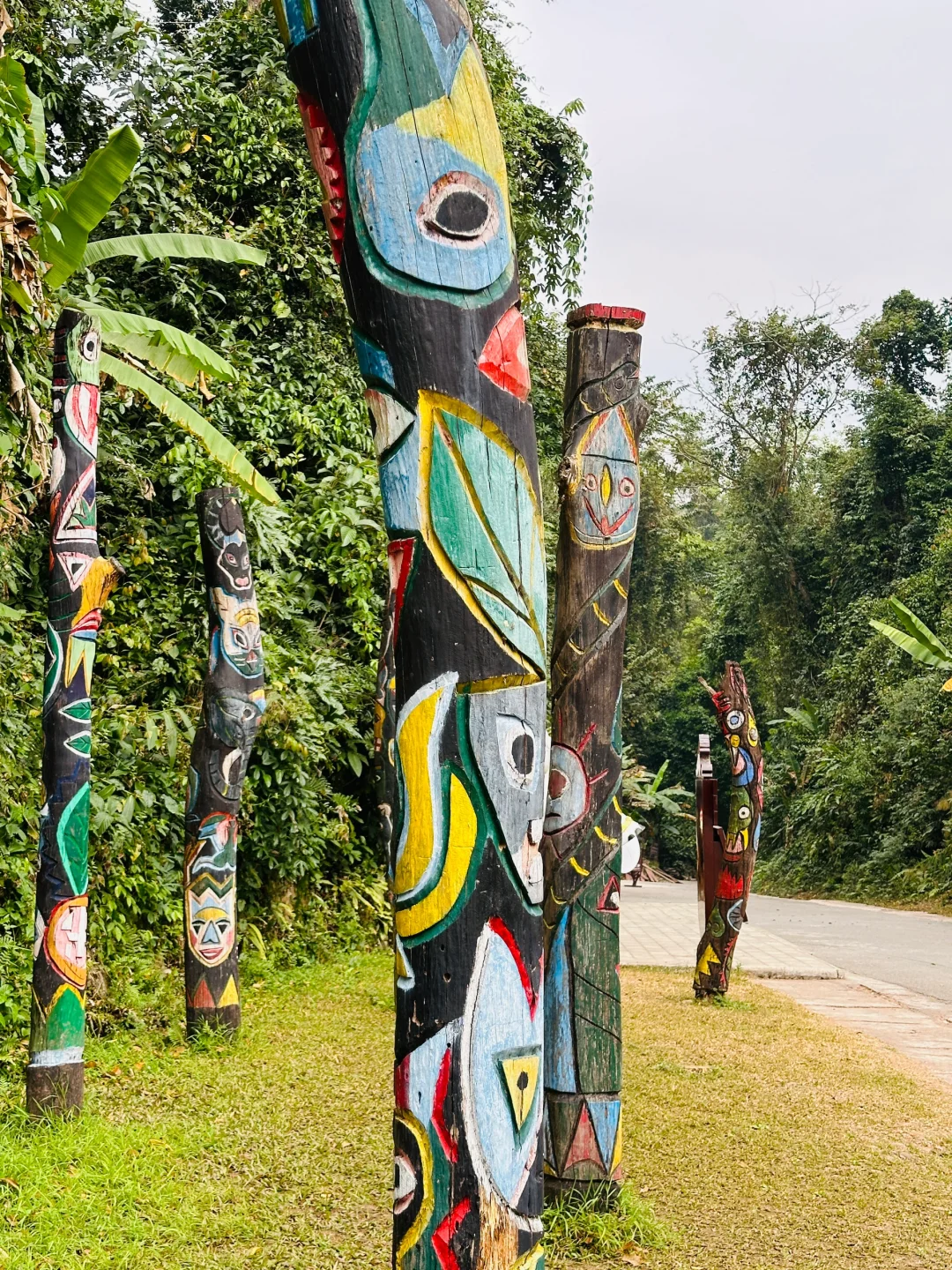 版纳哪里值得去?必推望天树景区!有优惠谨记