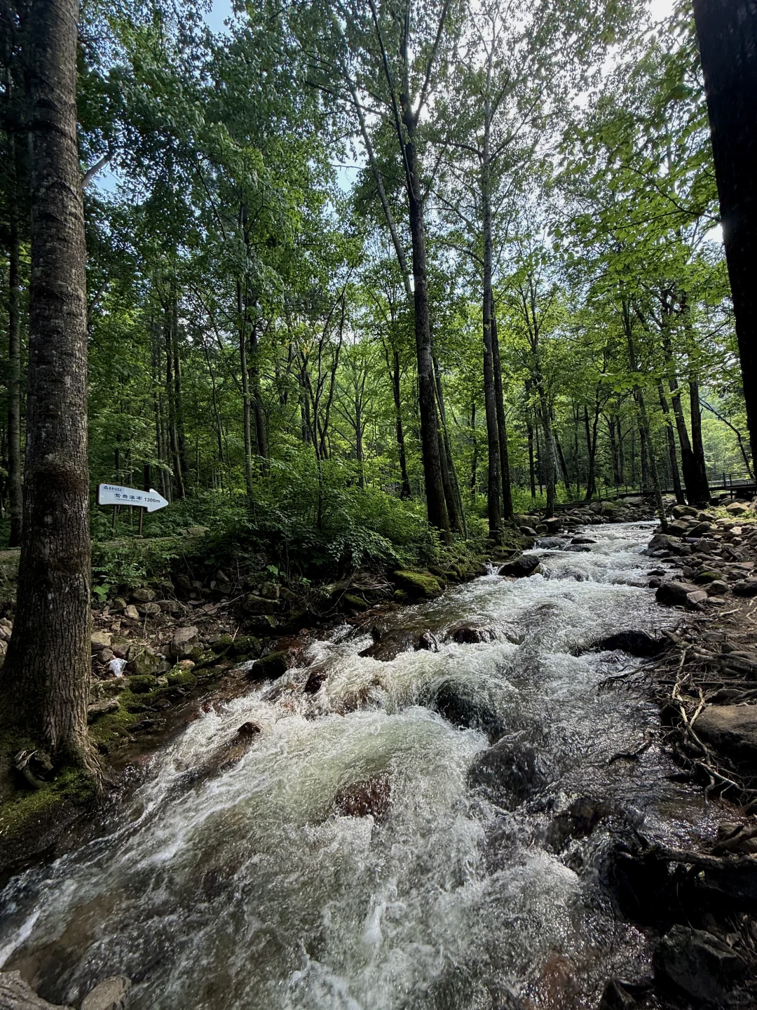 每周一山！哈尔滨当天往返爬山溯溪超治愈！