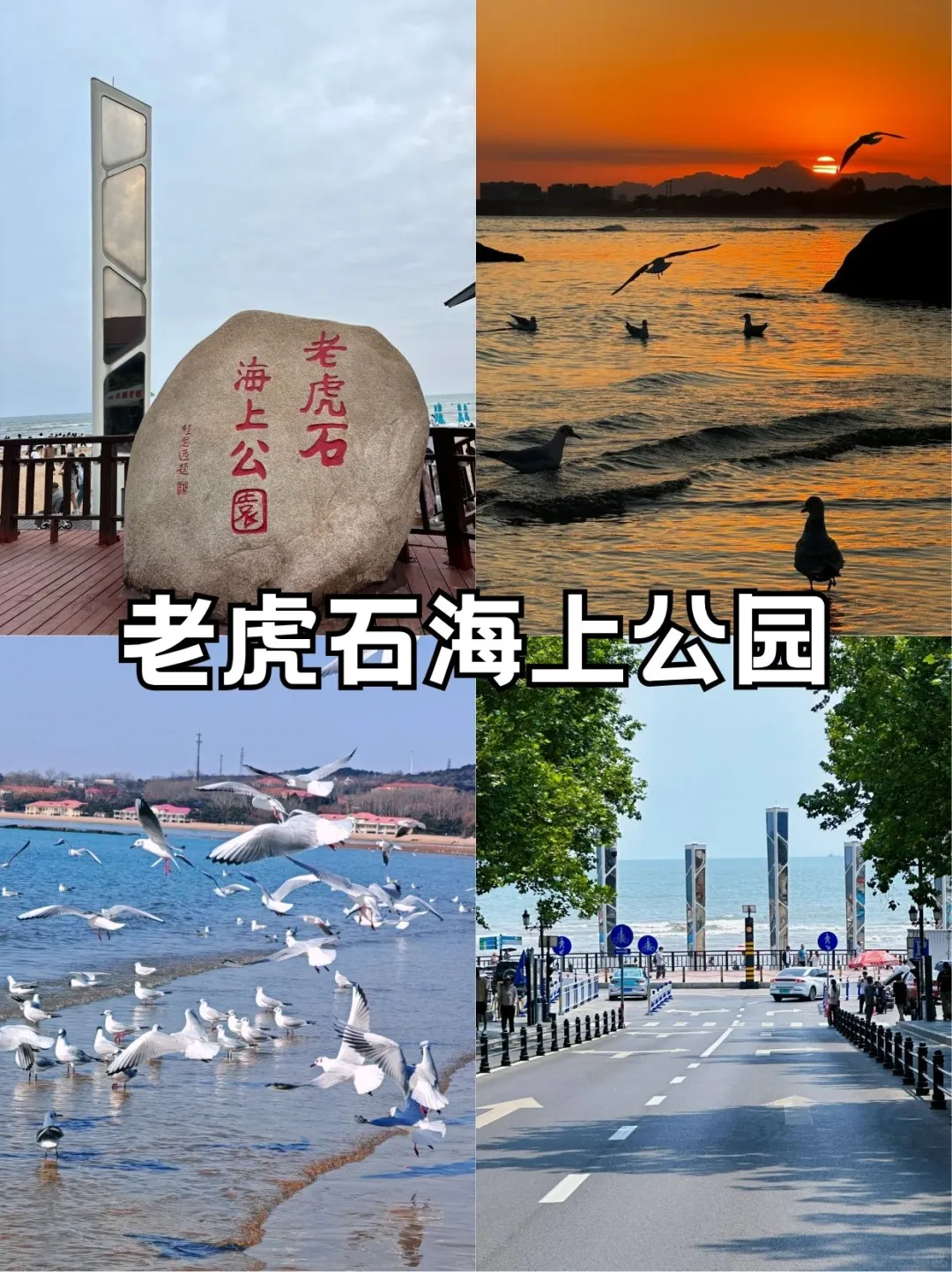 🌊23℃的秦皇岛｜夏日私藏玩法🍃