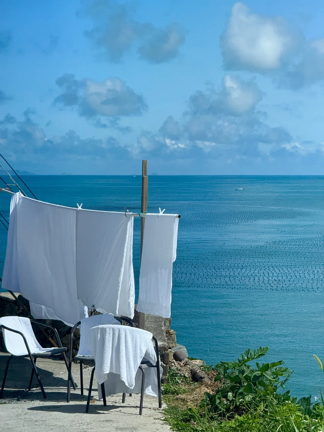 不是三亚是温州！浙江最蓝的海🌊