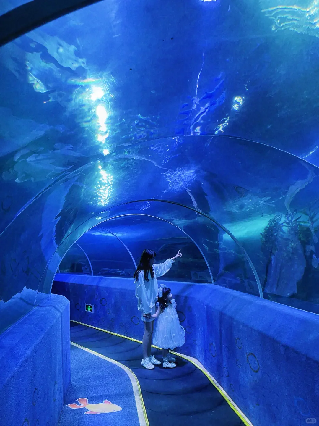 北戴河乌兰布统已回，😭能劝一个是一个…