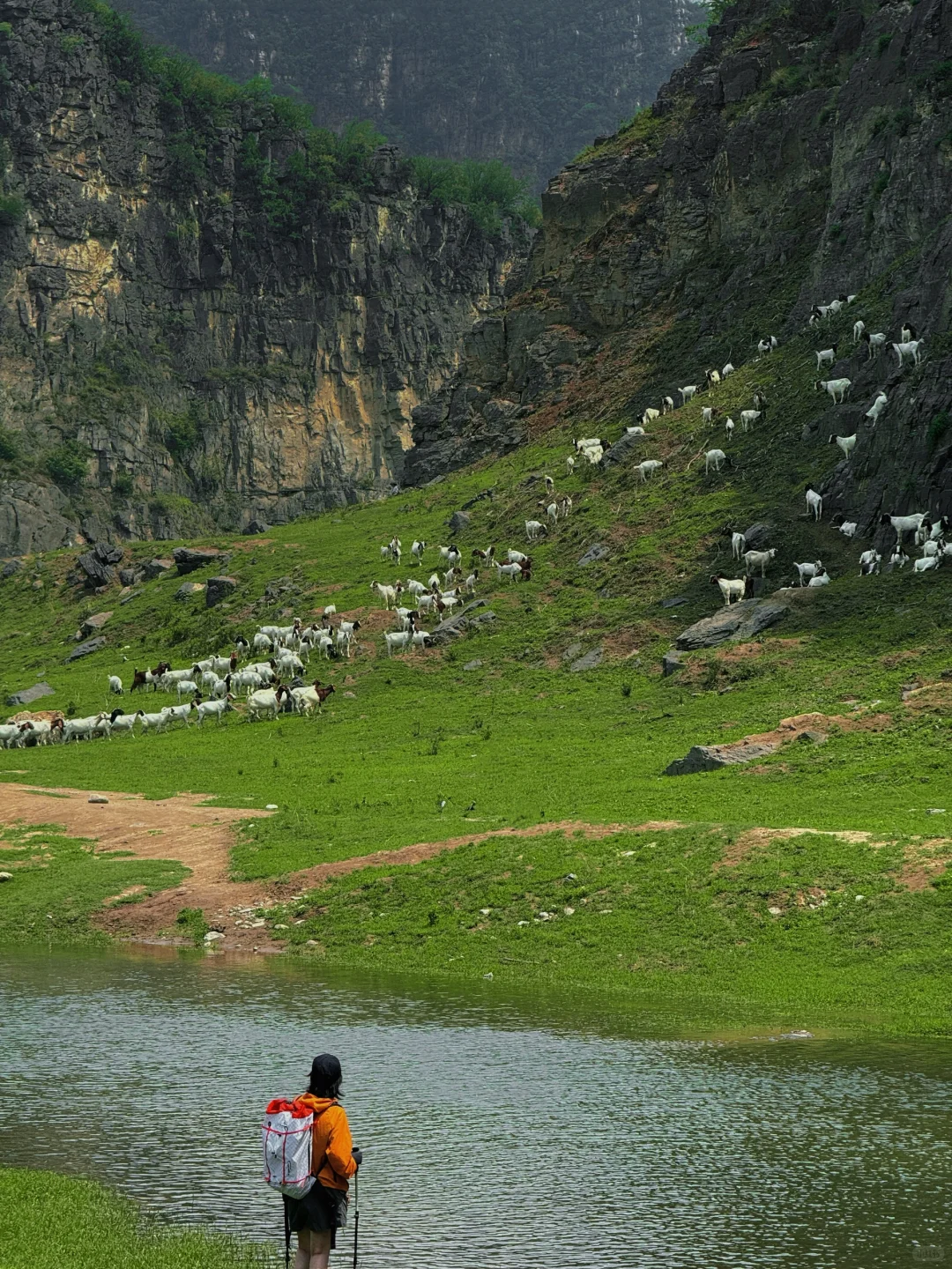 郑州周边⛰️2h抵达峡谷草甸溯溪的小众秘境