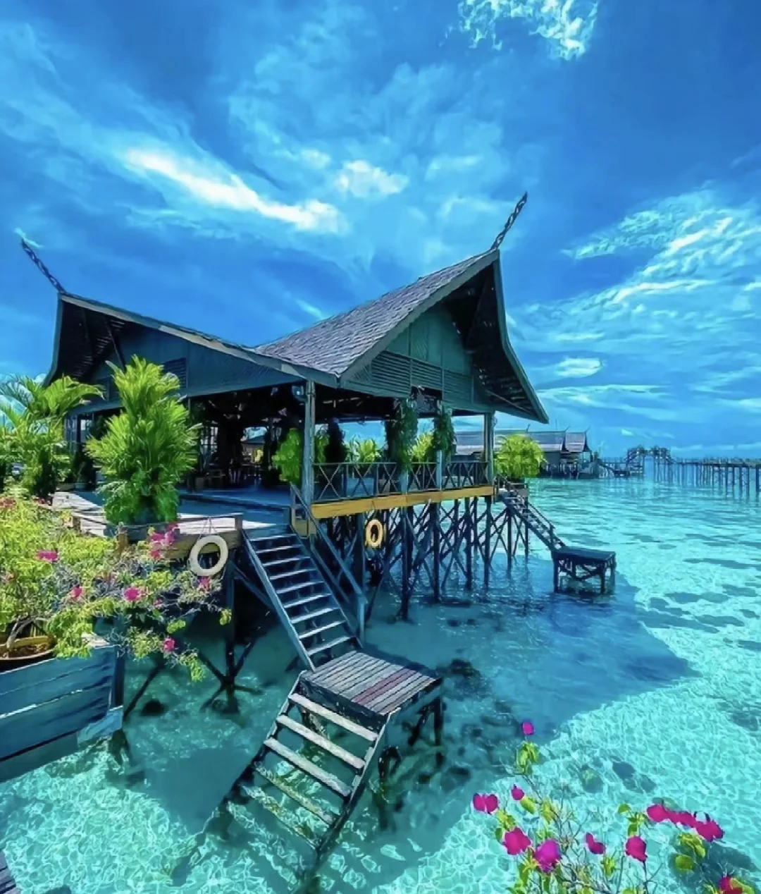 被赞爆了的朋友圈文案🥳｜🌴马来西亚