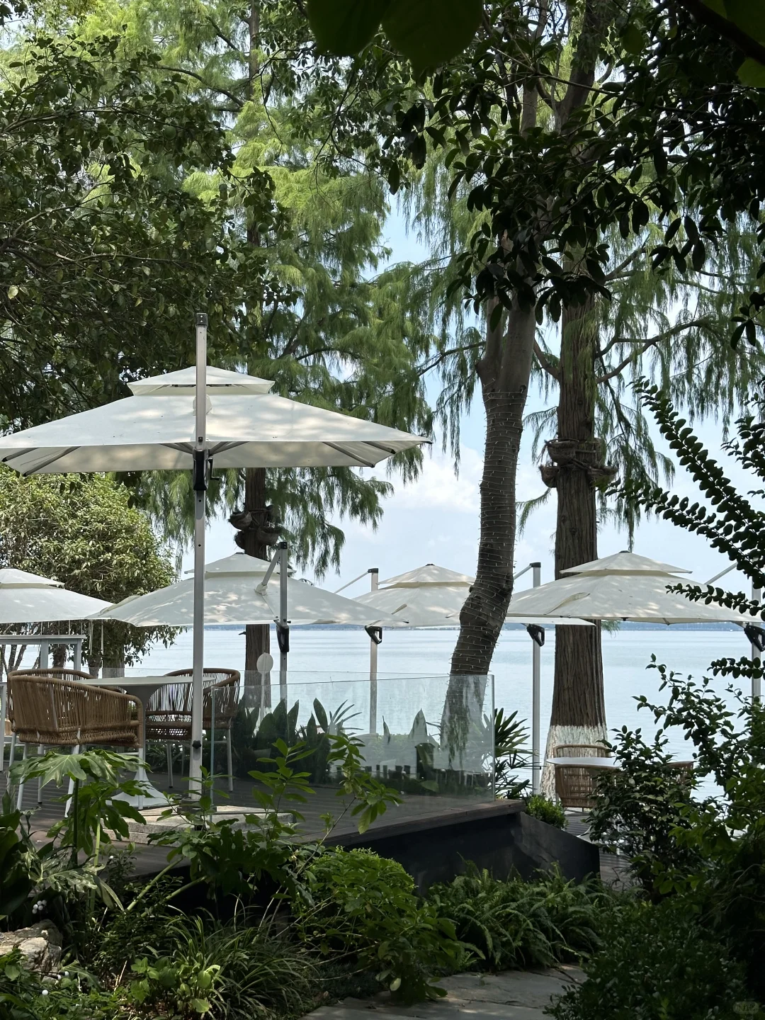 7-8月武汉东湖听涛景区旅游攻略🌅（可看日出