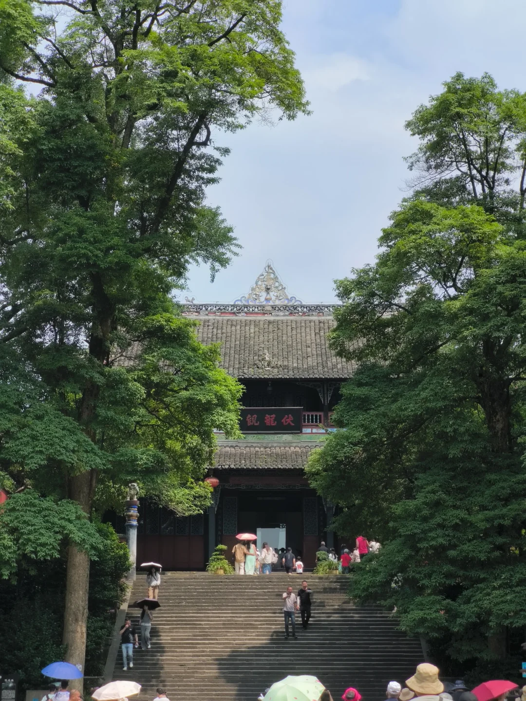 成都→都江堰+熊猫谷攻略|最全景点路线