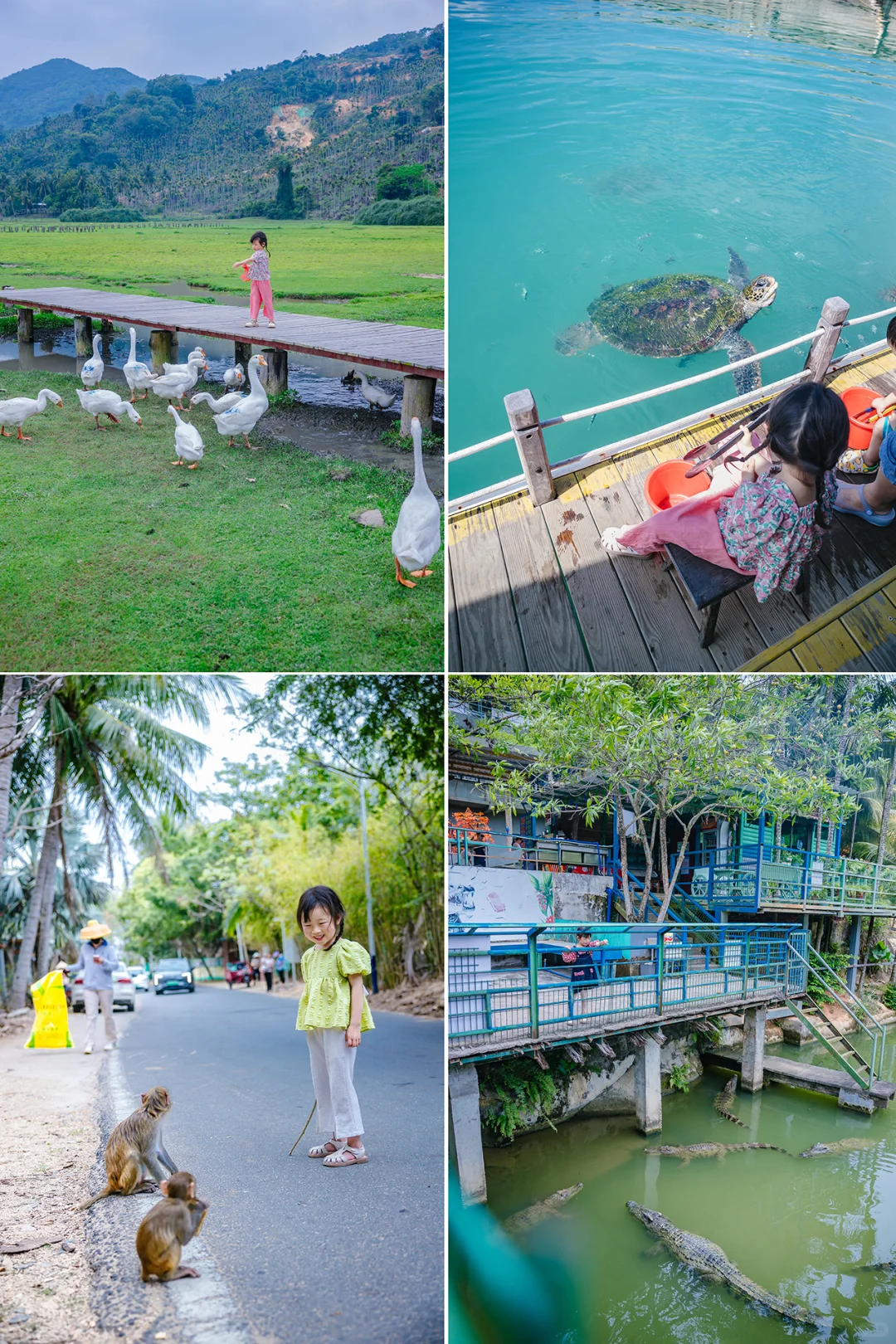 带娃在陵水已经住了10天❗听听我的真实感受