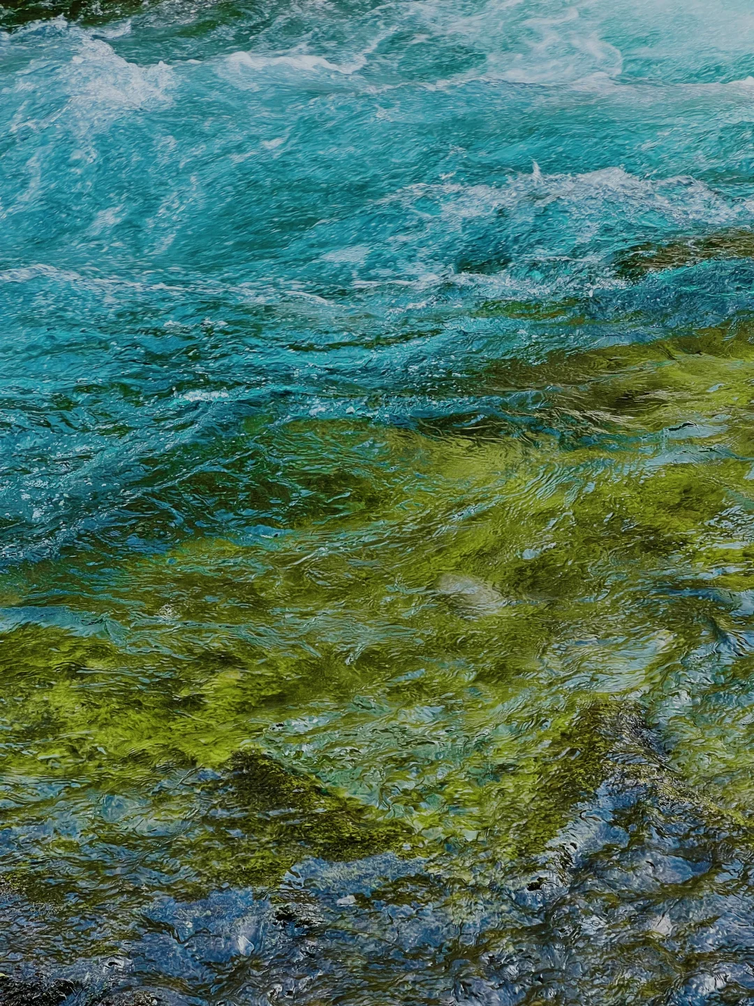 九寨沟一日游‼️精华景点亲测不走回头路