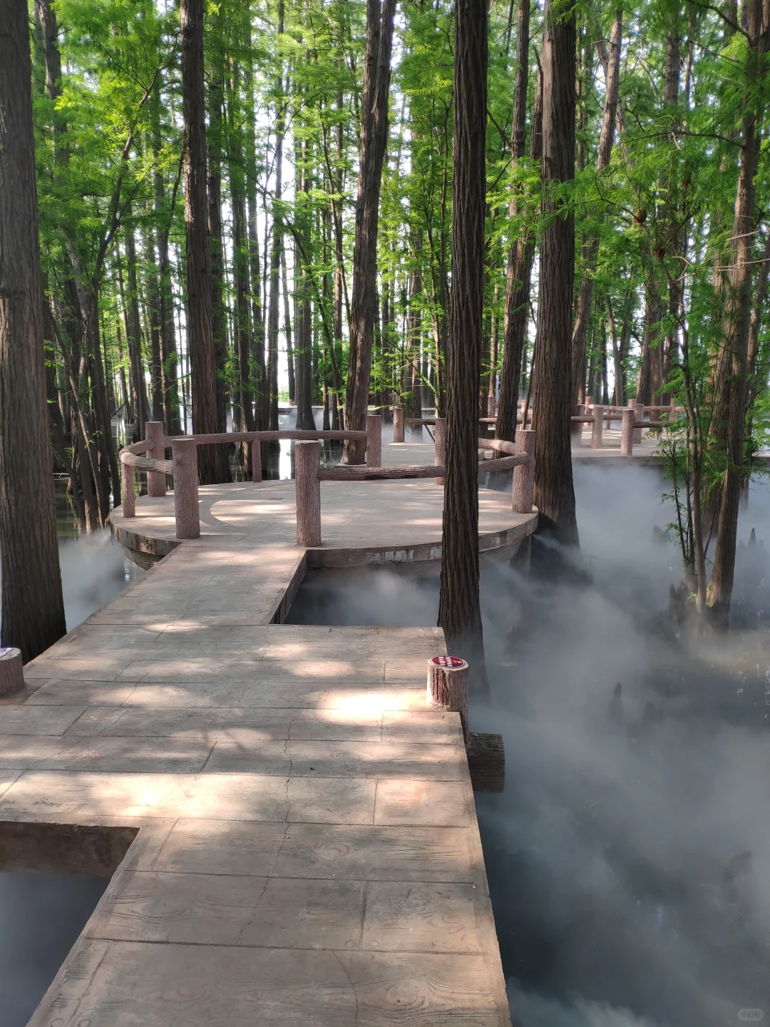 东湖落雁景区 密林仙境 天然氧吧