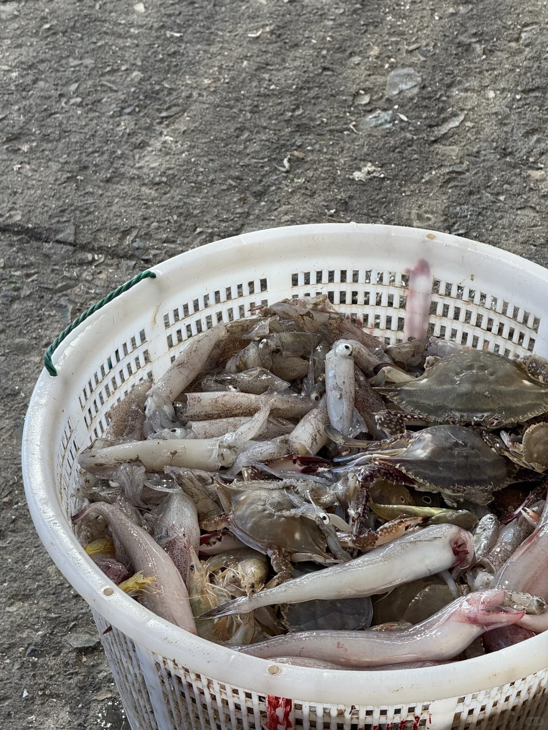 不是三亚是温州！浙江最蓝的海🌊