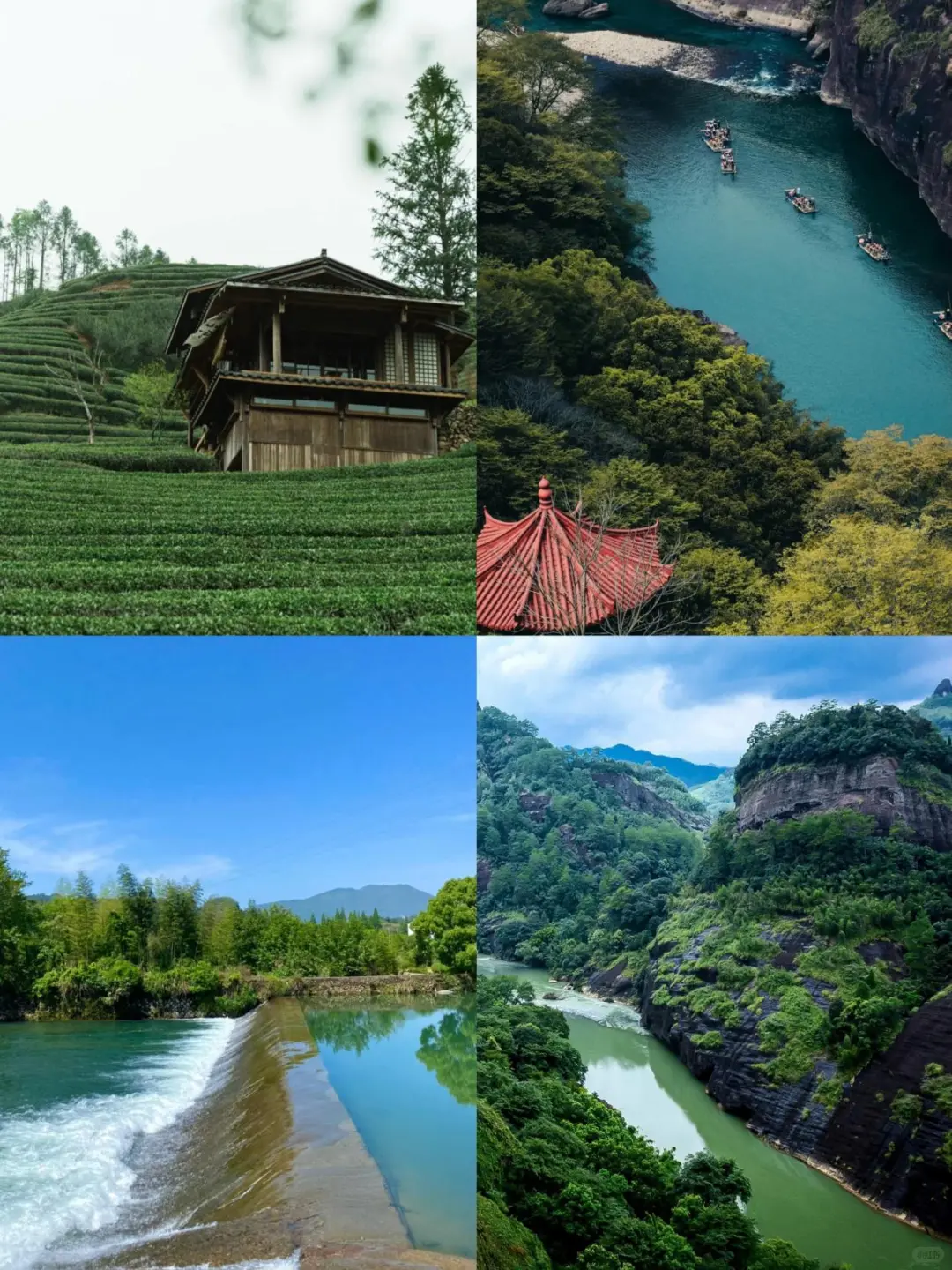 还好提前看到了武夷山刚发布的旅游通知