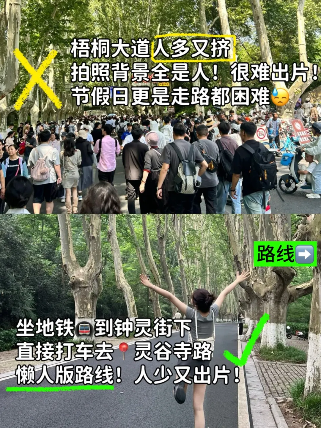 来钟山风景区+夫子庙💥不要再绕路、人挤人了