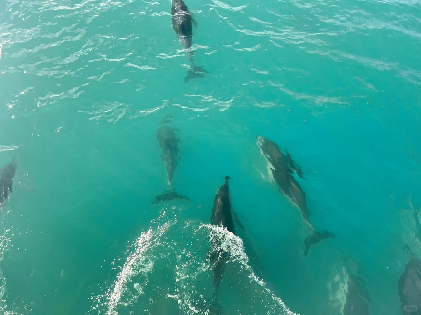 3万元！双人玩转新西兰12天！自驾游～