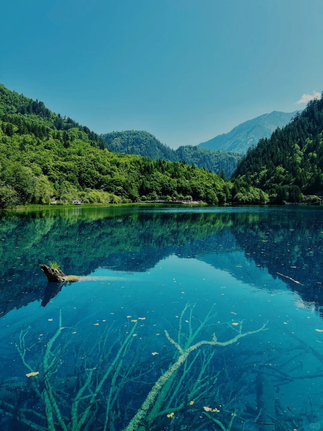 九寨沟一日游‼️精华景点亲测不走回头路