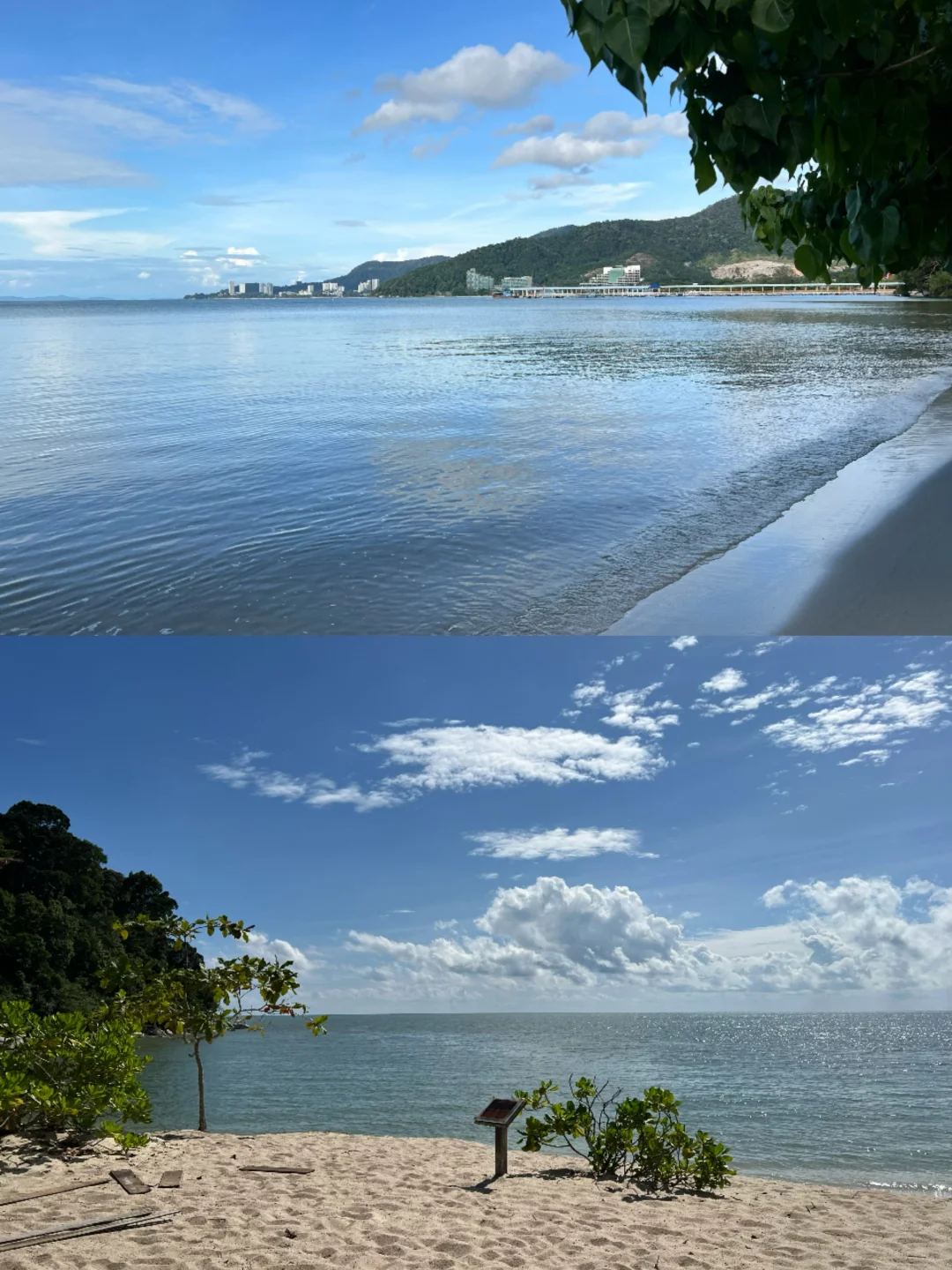 北纬5°徒步穿越热带雨林🐒槟城国家公园