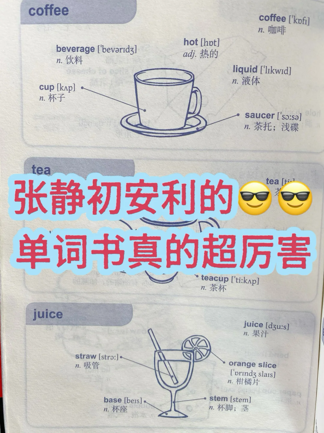 单词背它就够了😍