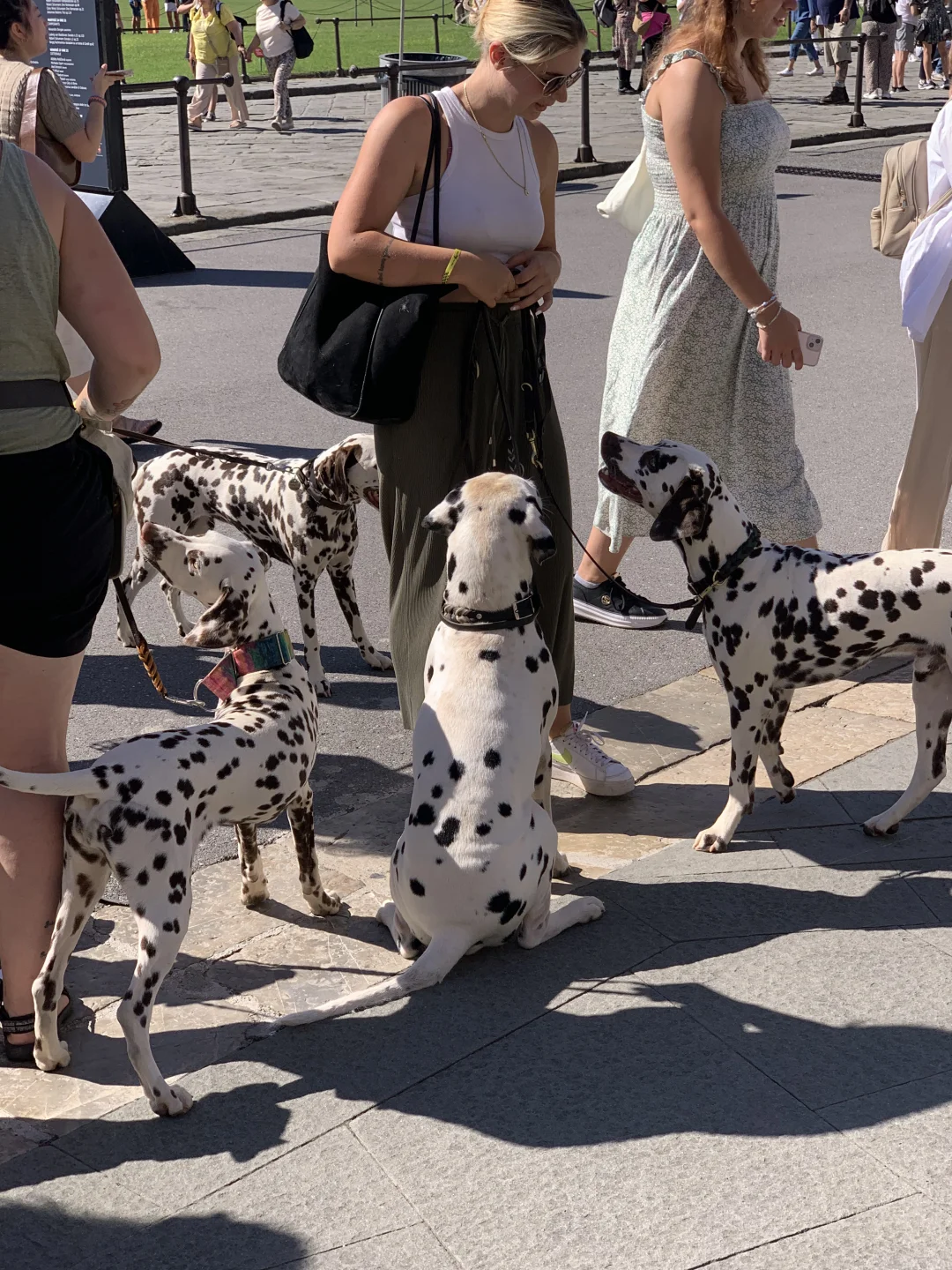 艺术气息超浓的Firenze✨