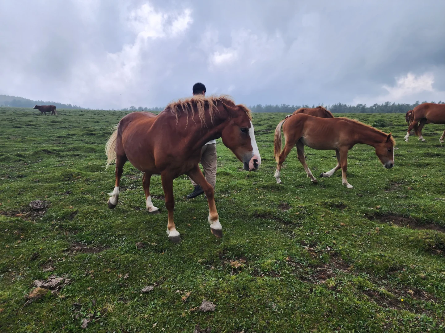 忍不住又来了一次！