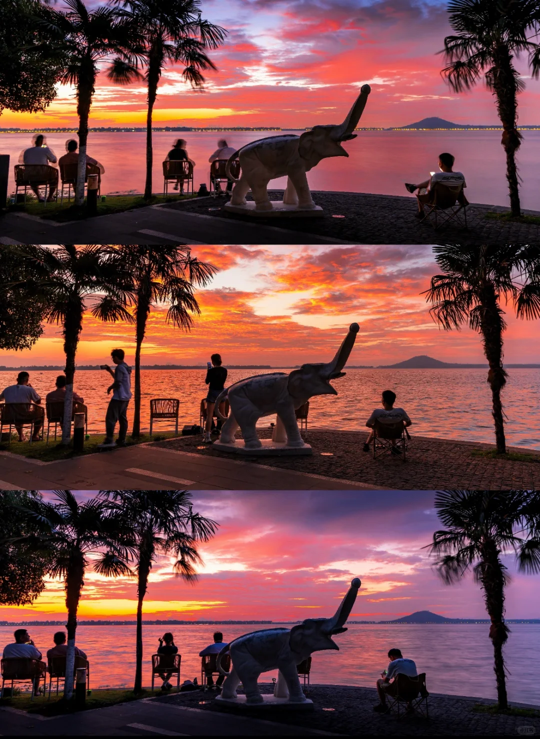 7-8月武汉东湖听涛景区旅游攻略🌅（可看日出