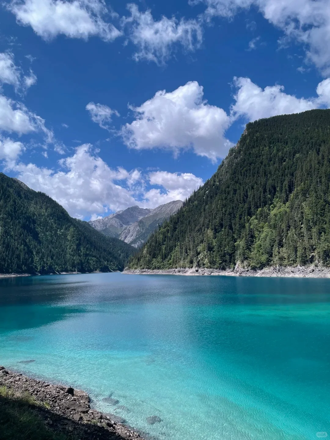 7.28📍九寨沟旅游现状。。踩雷踩到崩溃