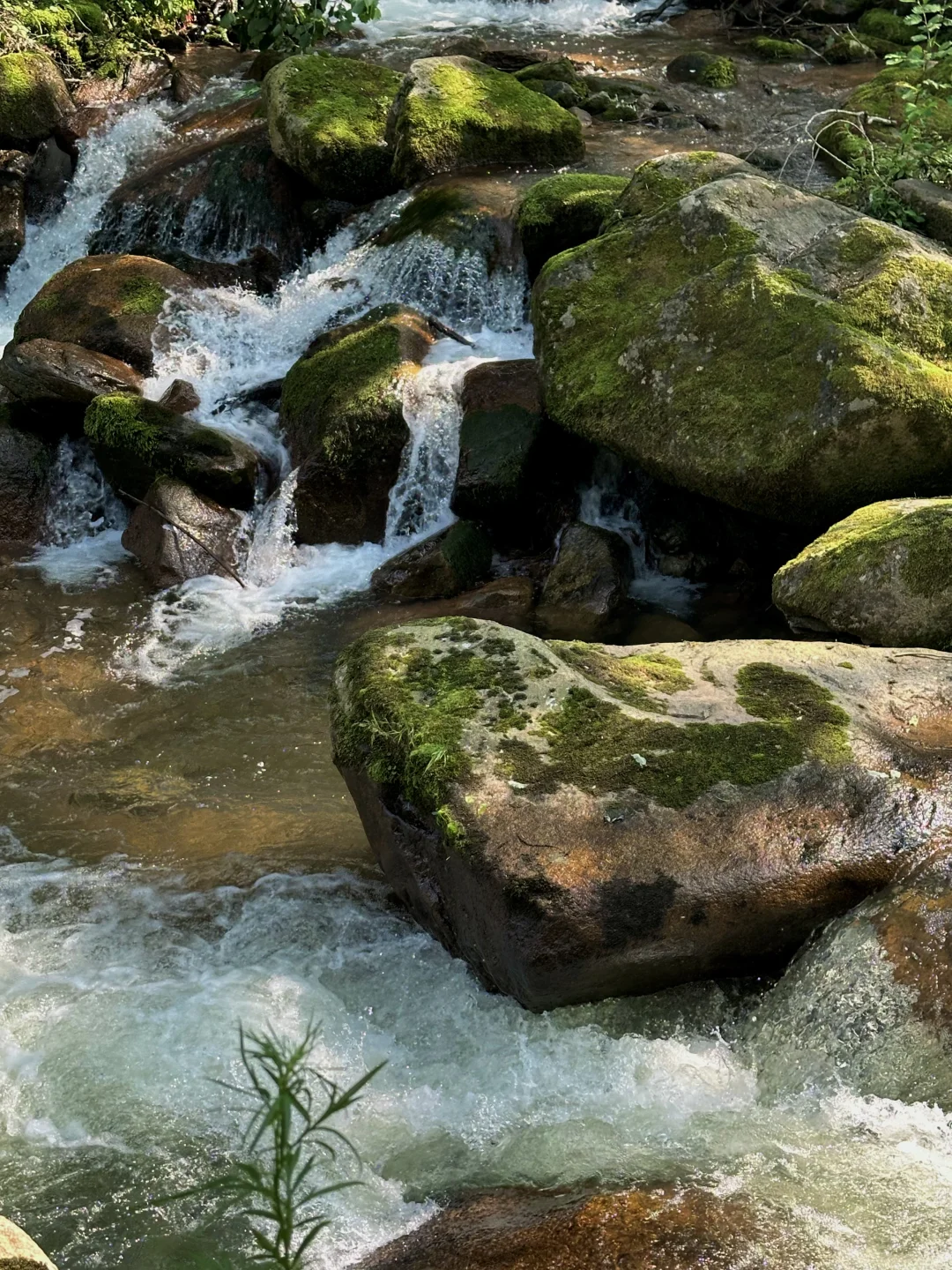 每周一山！哈尔滨当天往返爬山溯溪超治愈！