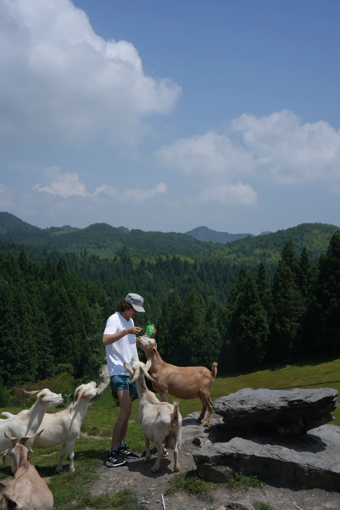 恩施6日游玩攻略📒