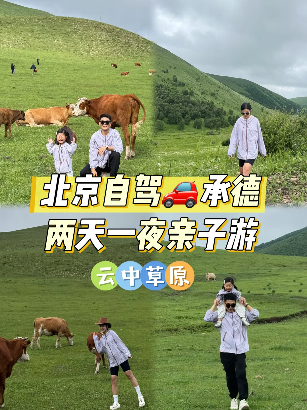 小友自然大会 | 周末到承德草原遛娃避暑咯