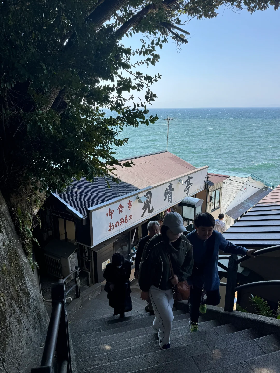 对自己做的日本攻略满意得睡不着觉…🥹🥹