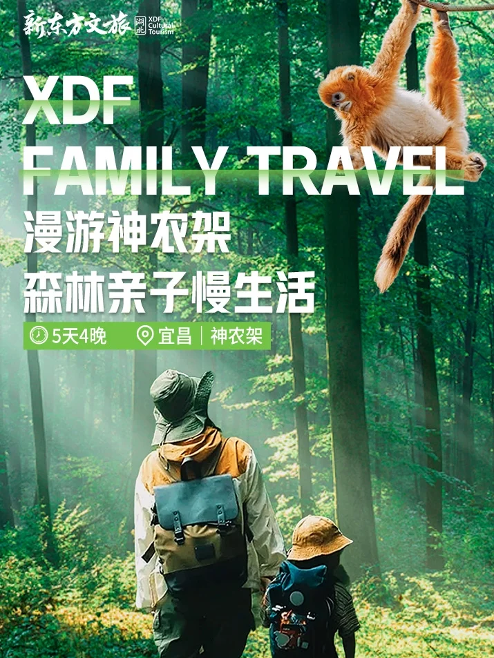 7-8月国内避暑胜地🌿20℃的夏天太爽了！