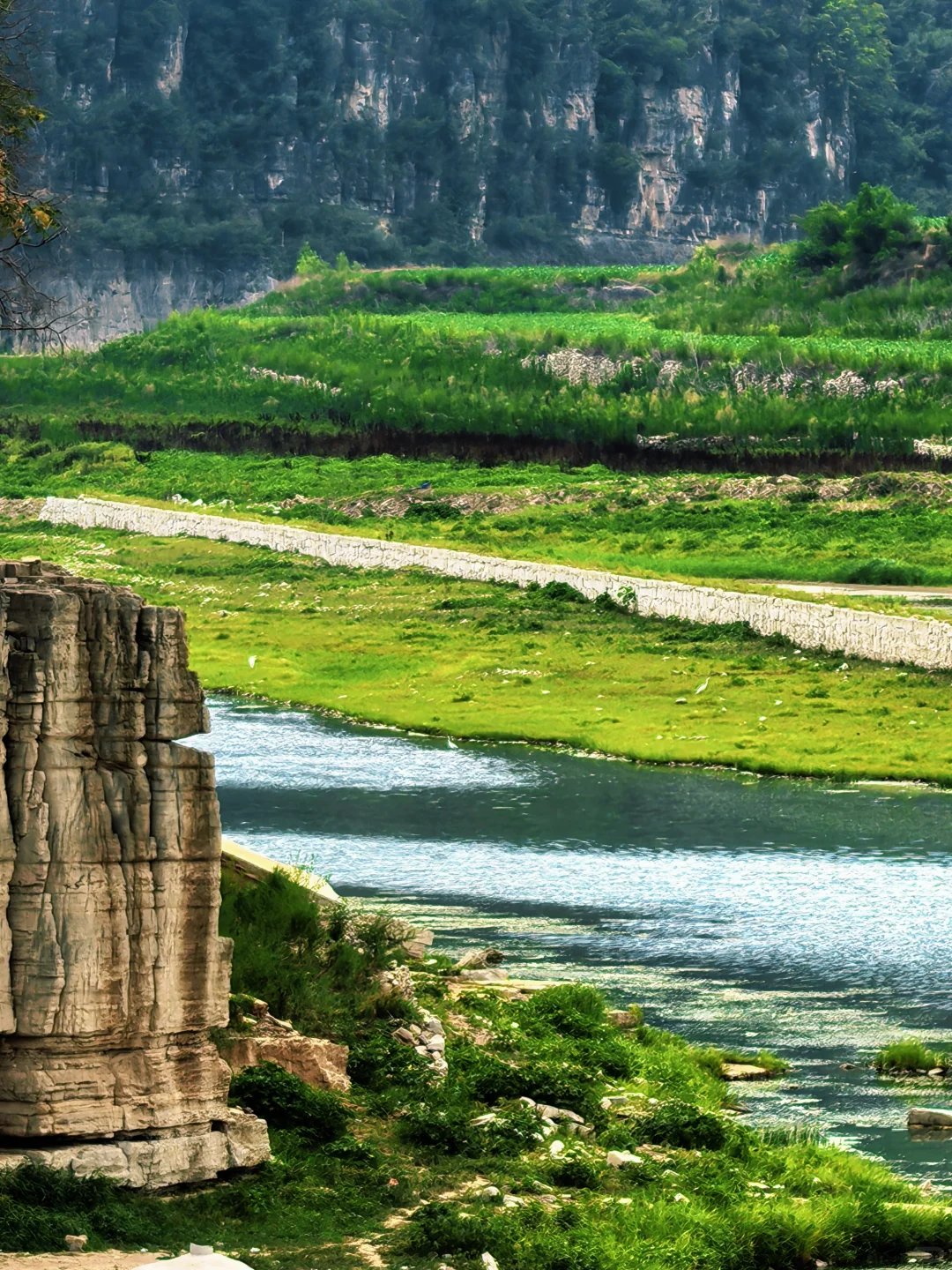 这个野生景点也太赞了吧！