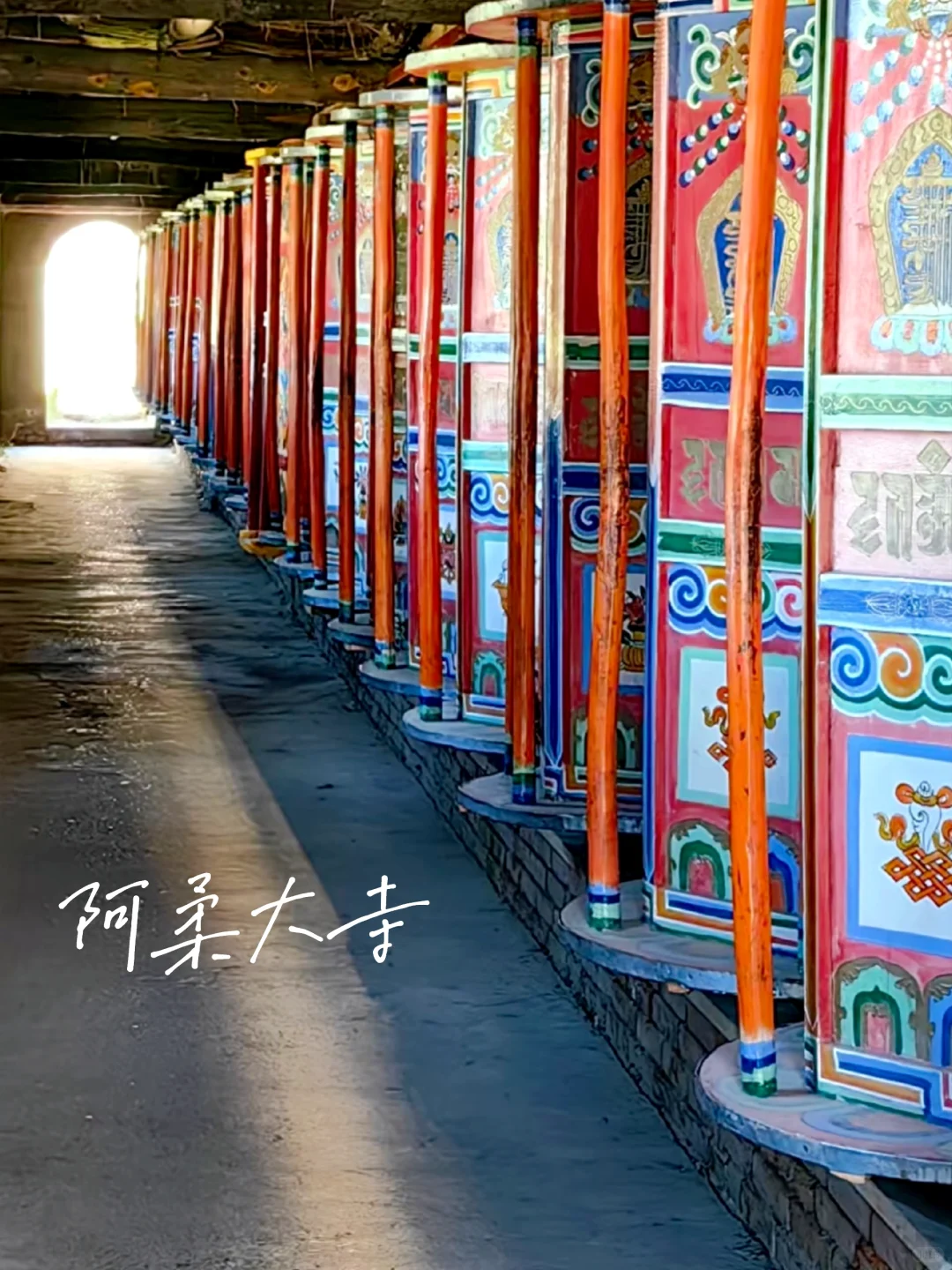 5-8月凉爽游,去青海玩3天🍉|人均1000