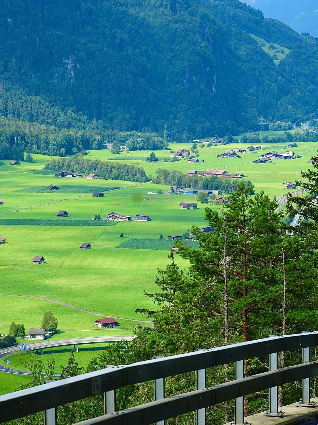 年轻人不要轻易来瑞士🇨🇭