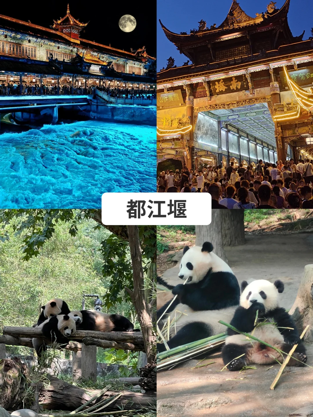 九寨沟+四姑娘山+峨眉乐山🌟5日游玩攻略