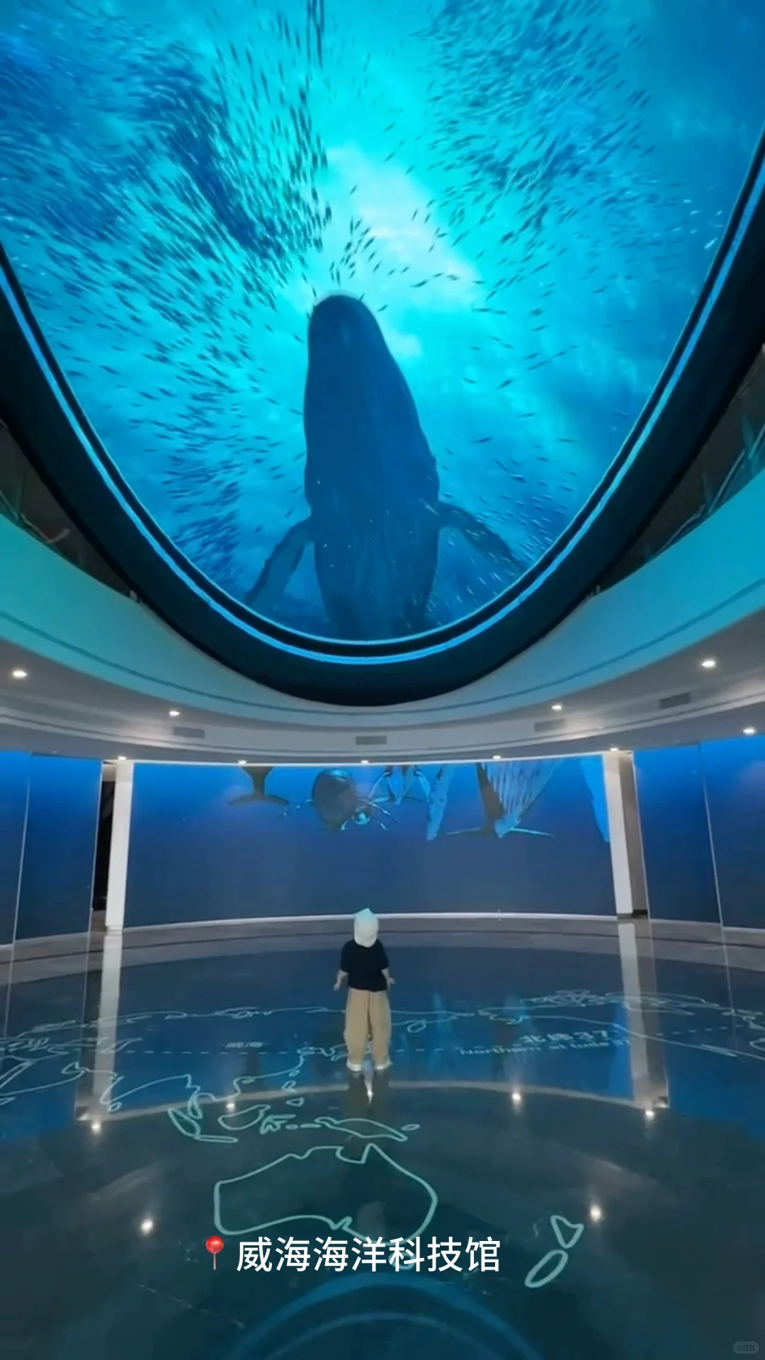 土著推荐 | 🏖️青岛+威海亲子游打卡攻略