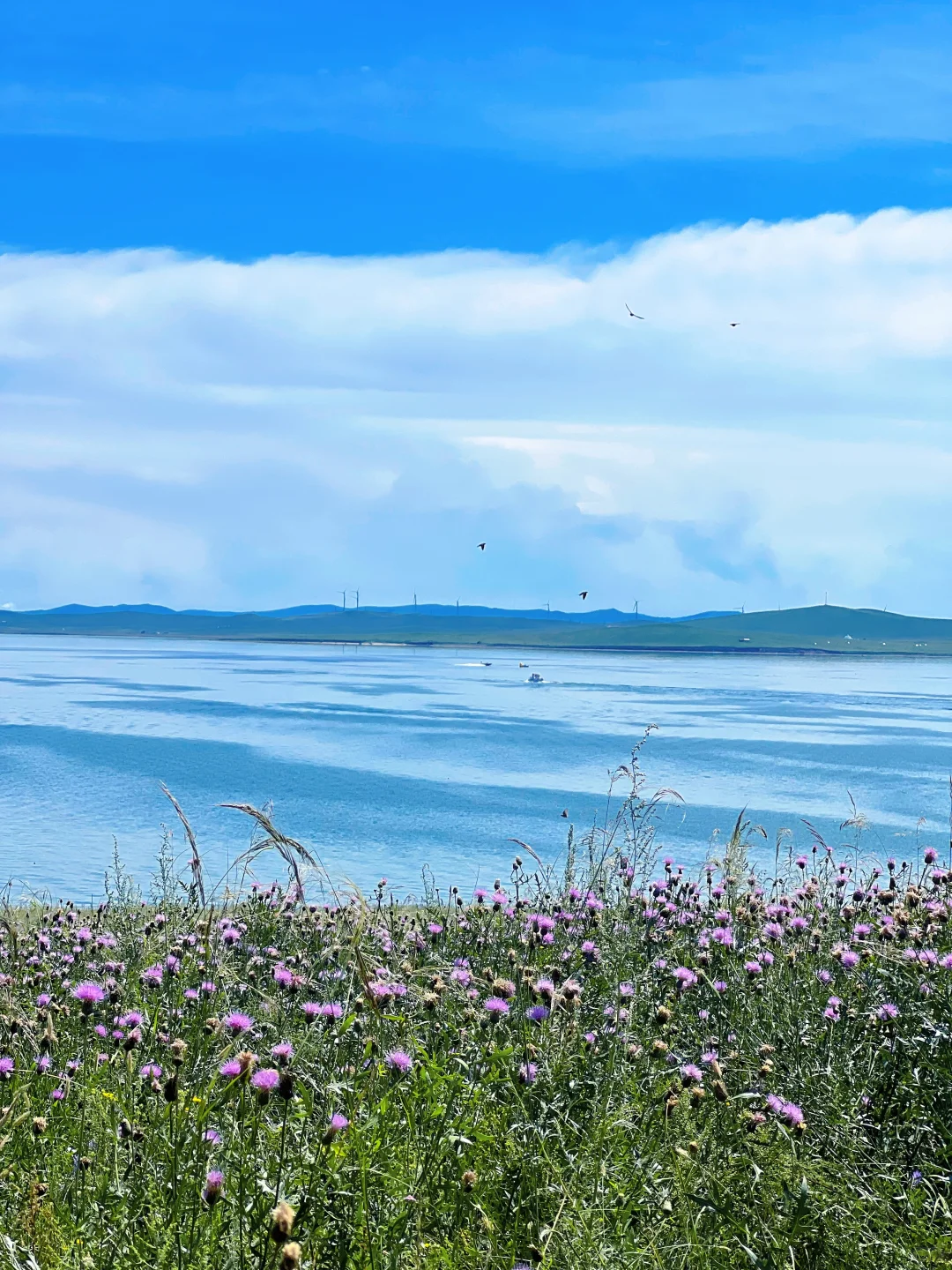 辽宁周边草原|扎鲁特旗山地草原+乌拉盖湖