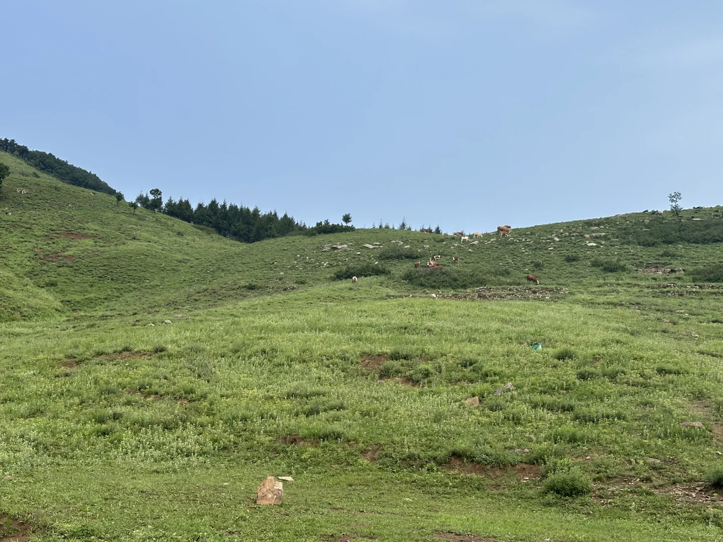 河北山西交界的小那拉提——走马槽