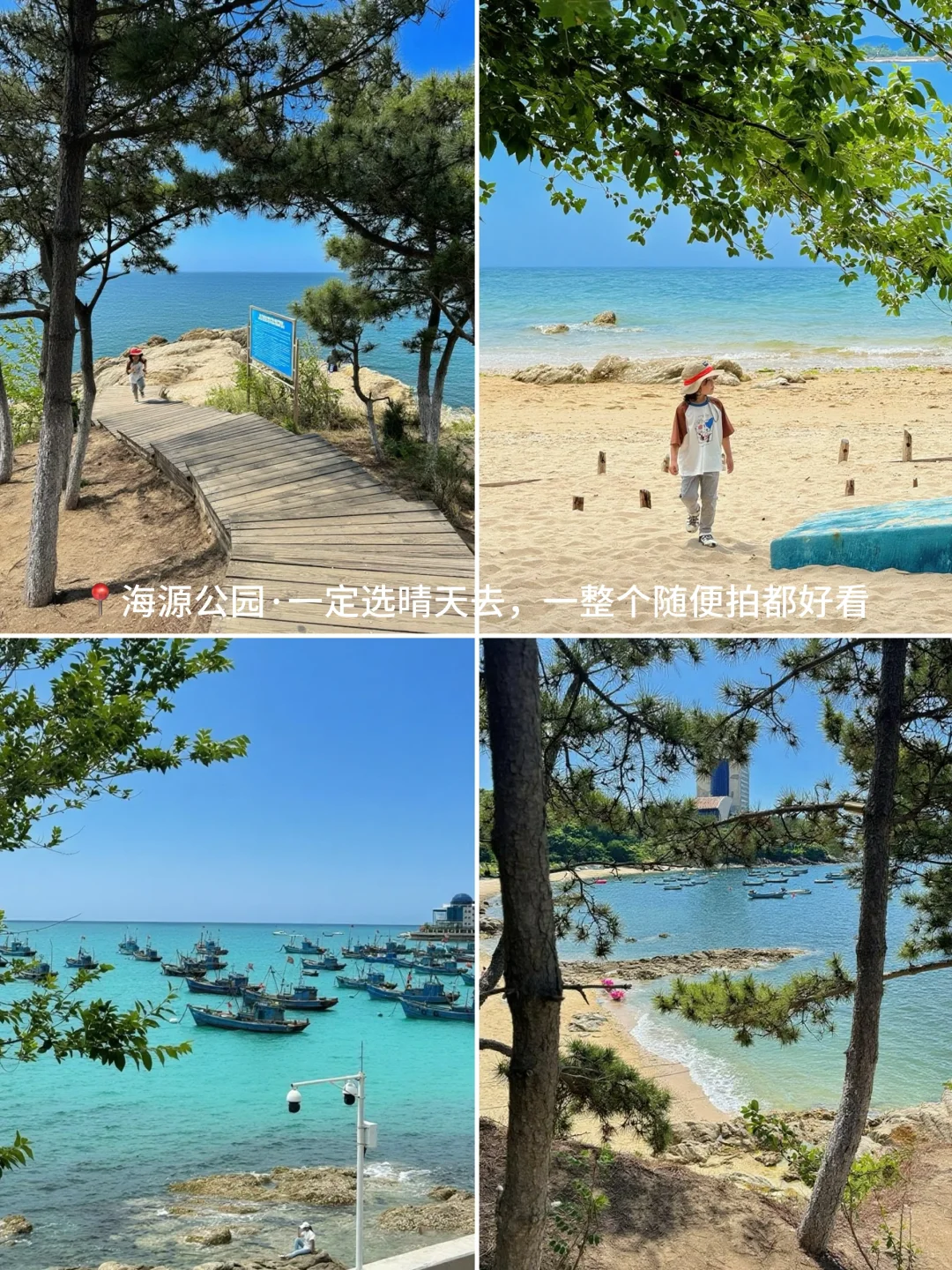 土著推荐 | 🏖️青岛+威海亲子游打卡攻略