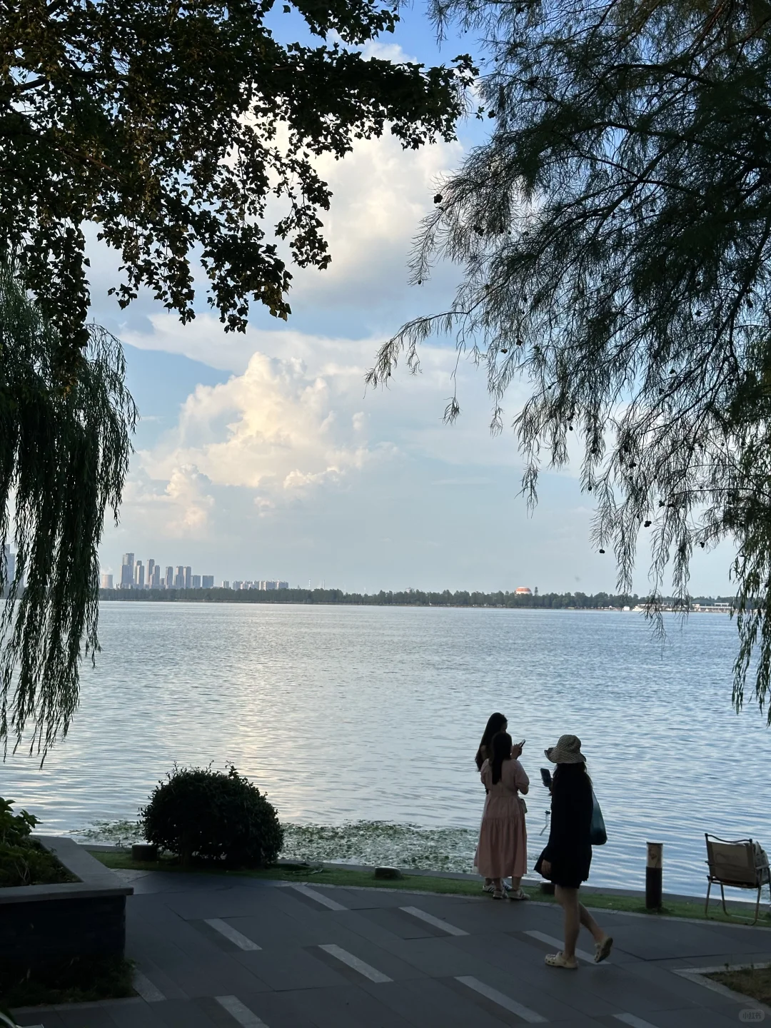 7-8月武汉东湖听涛景区旅游攻略🌅（可看日出