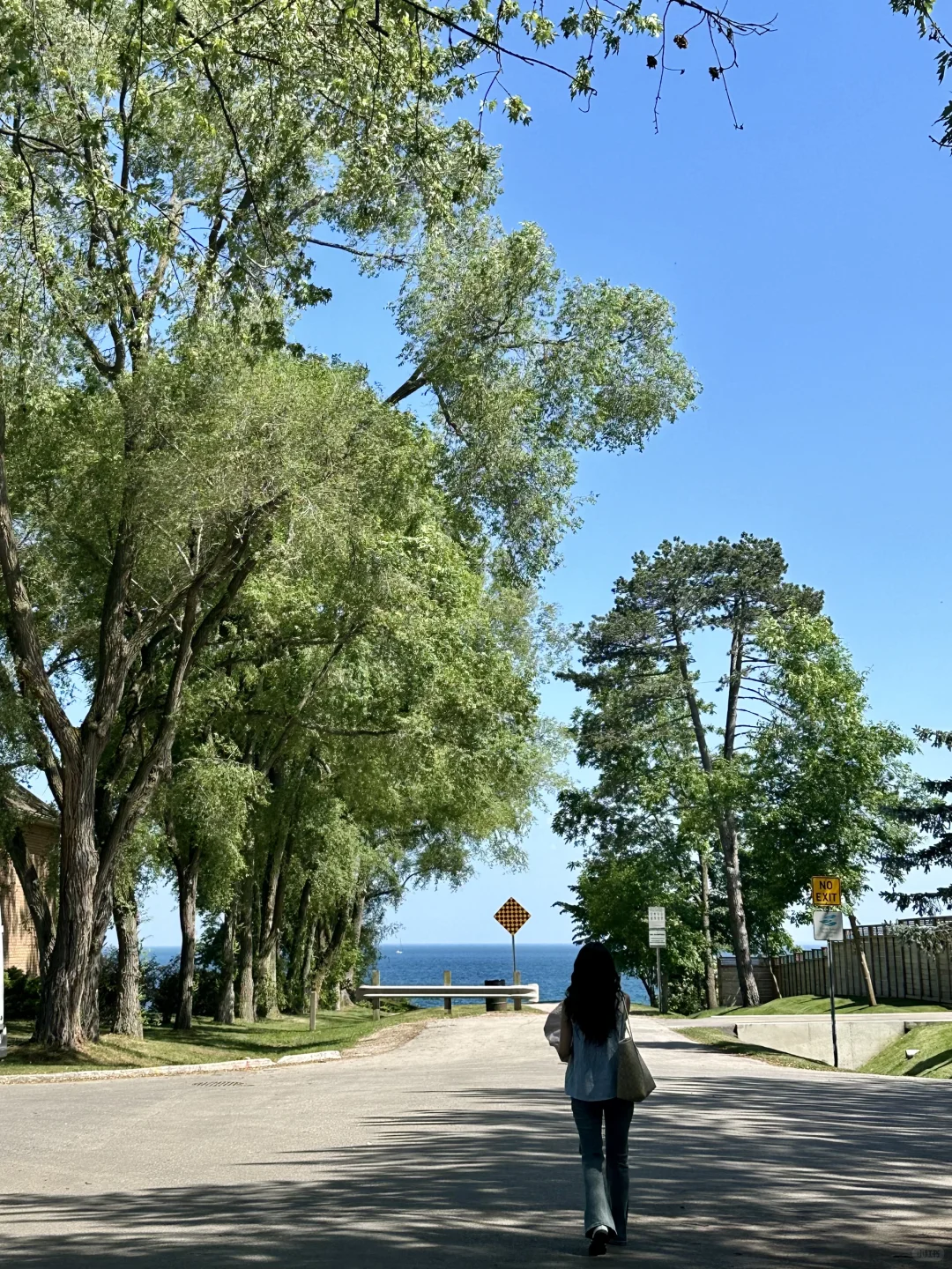 记录夏天的加拿大🇨🇦多伦多➡️蒙特利尔