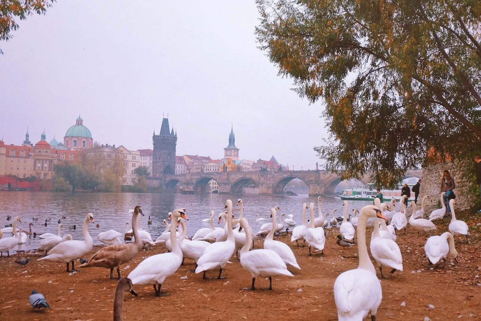 聊聊我去过的16个国家｜个人体验分享2