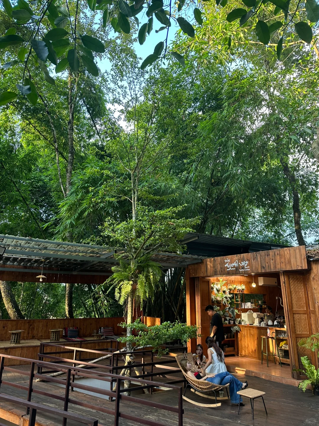 成都出发3天2夜芒市松弛感拉满的旅游攻略🌴