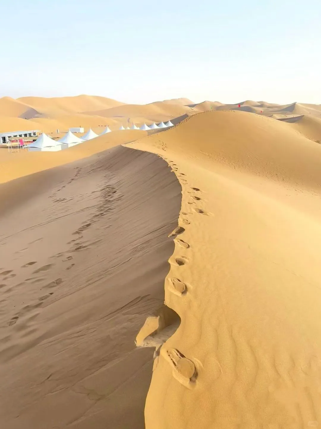 北戴河乌兰布统已回，😭能劝一个是一个…