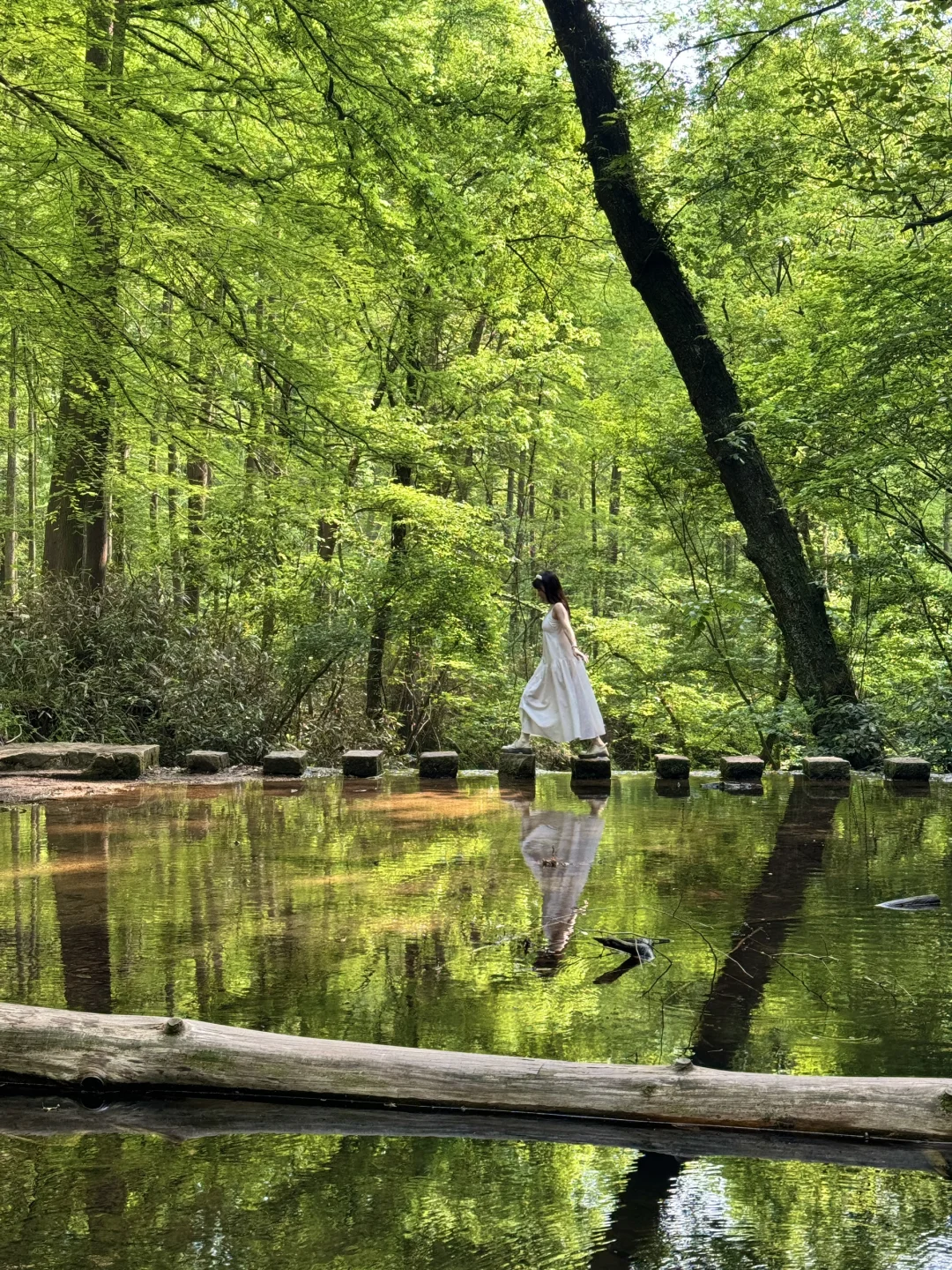 信阳3天2晚🍃小众景美，躺平看山看水