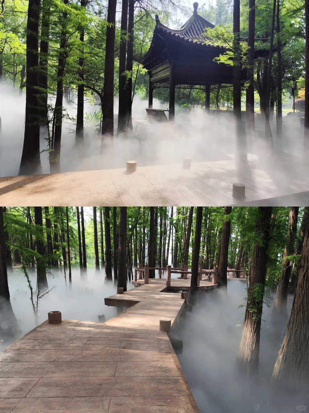 东湖落雁景区 密林仙境 天然氧吧