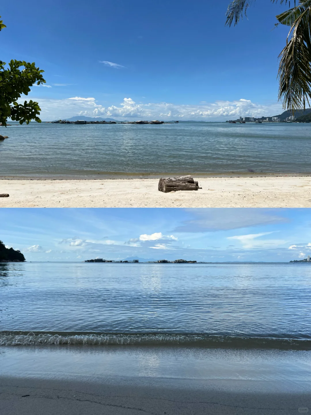 北纬5°徒步穿越热带雨林🐒槟城国家公园