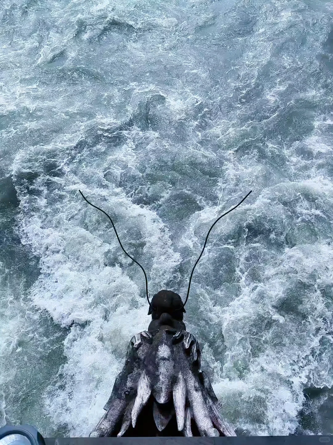 成都→都江堰+熊猫谷攻略|最全景点路线