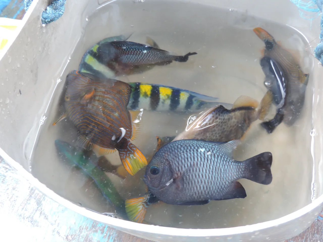 人均4位数的高性价比国外海岛推荐-长滩岛