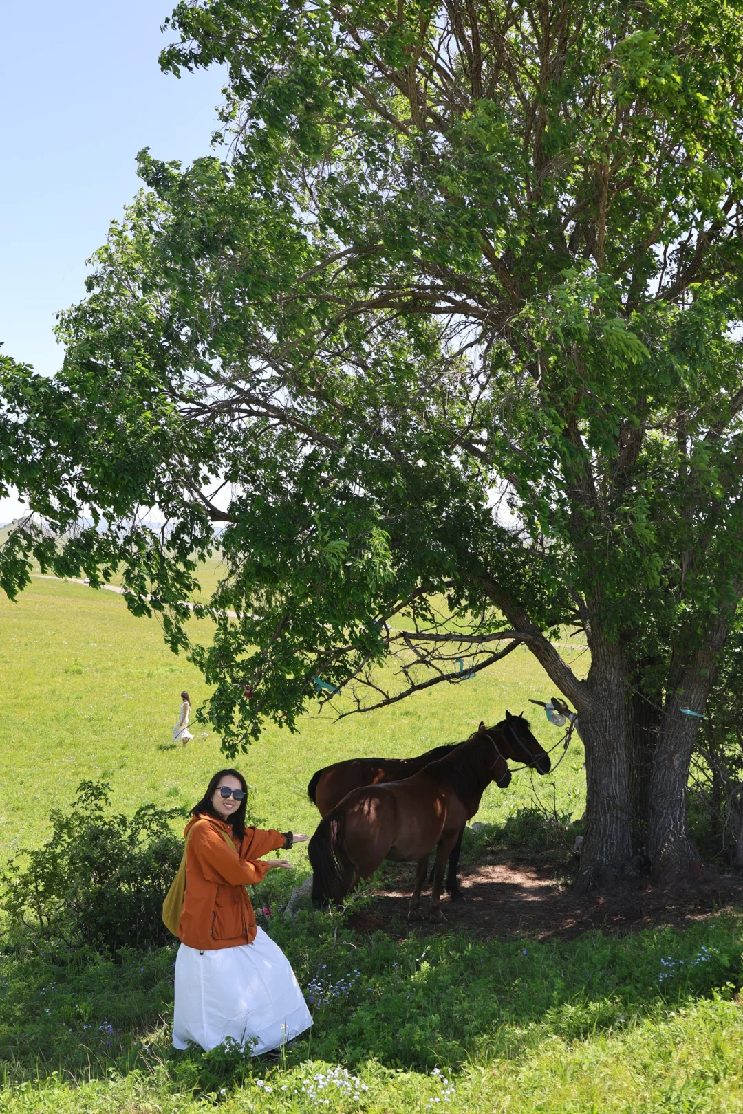 聊城出发,乌兰布统,4天3晚自驾攻略~